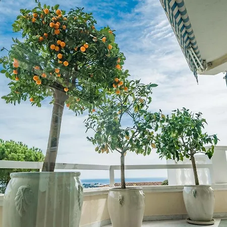Luxury Villa With Spa Near Cannes - Sea View *